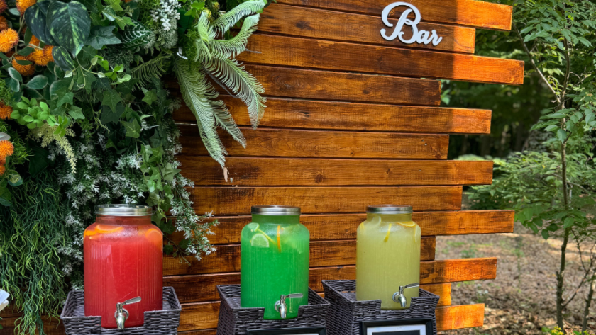 Servicii Ciresul Salbatic