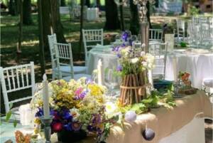 Primavara la CIresul Salbatic